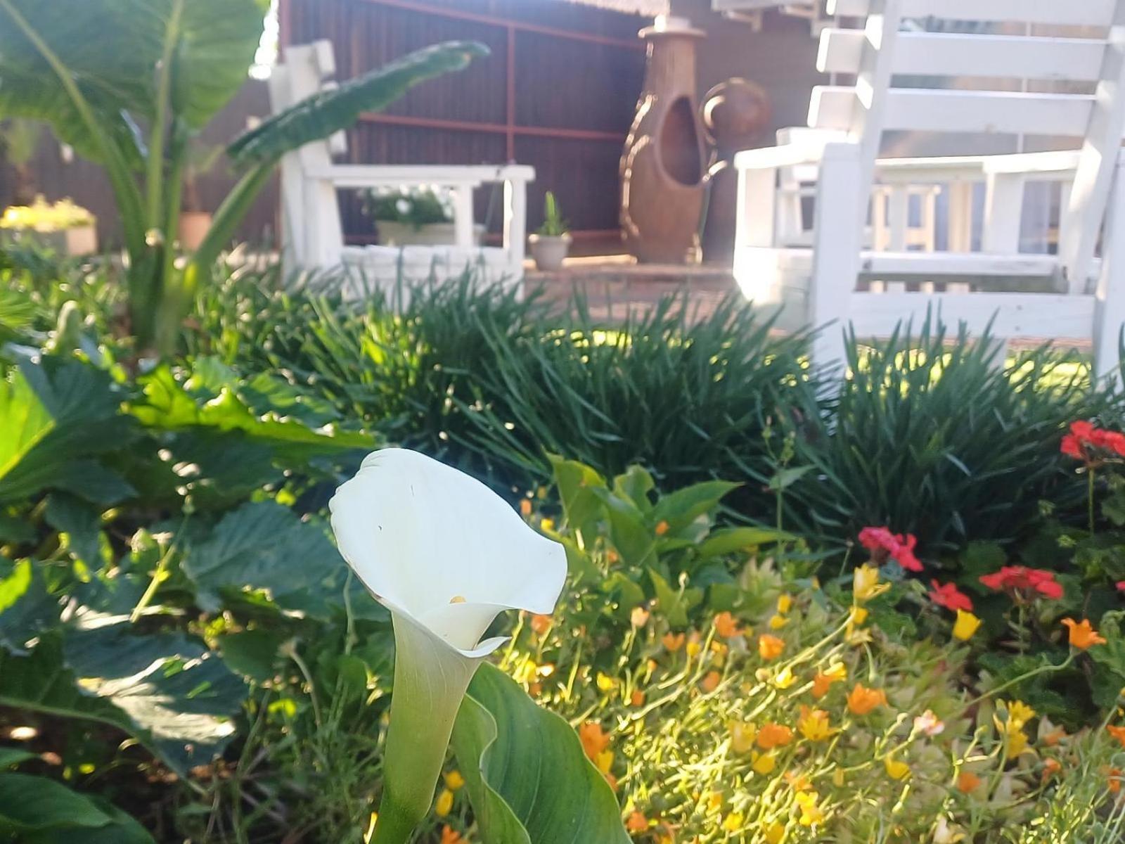 Ceelee'S Place Bloemfontein Exterior foto